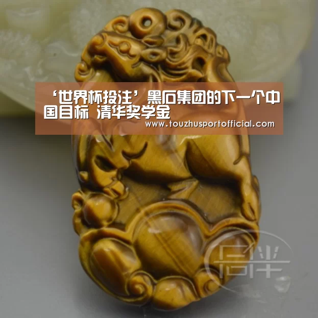 ‘世界杯投注’黑石集团的下一个中国目标 清华奖学金(图2) 世界杯玩法