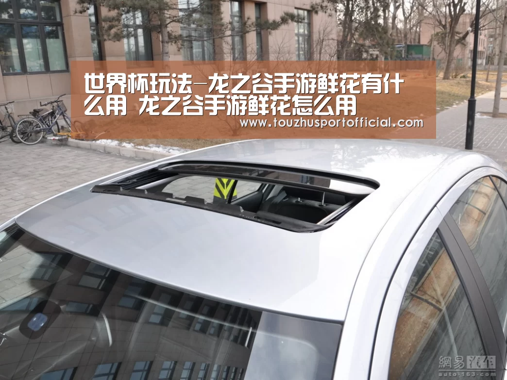 世界杯玩法-龙之谷手游鲜花有什么用 龙之谷手游鲜花怎么用(图2) 世界杯投注