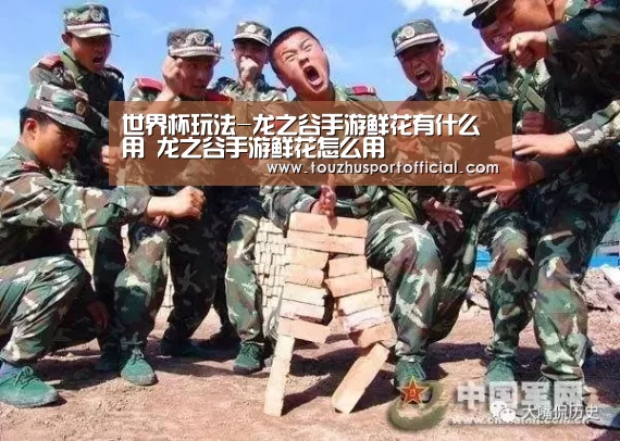 世界杯玩法-龙之谷手游鲜花有什么用 龙之谷手游鲜花怎么用(图3) 世界杯下注