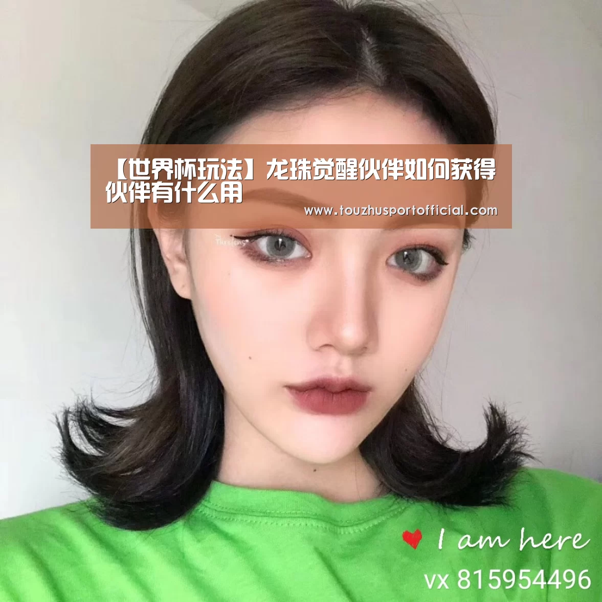 【世界杯玩法】龙珠觉醒伙伴如何获得 伙伴有什么用(图1) 世界杯赔率